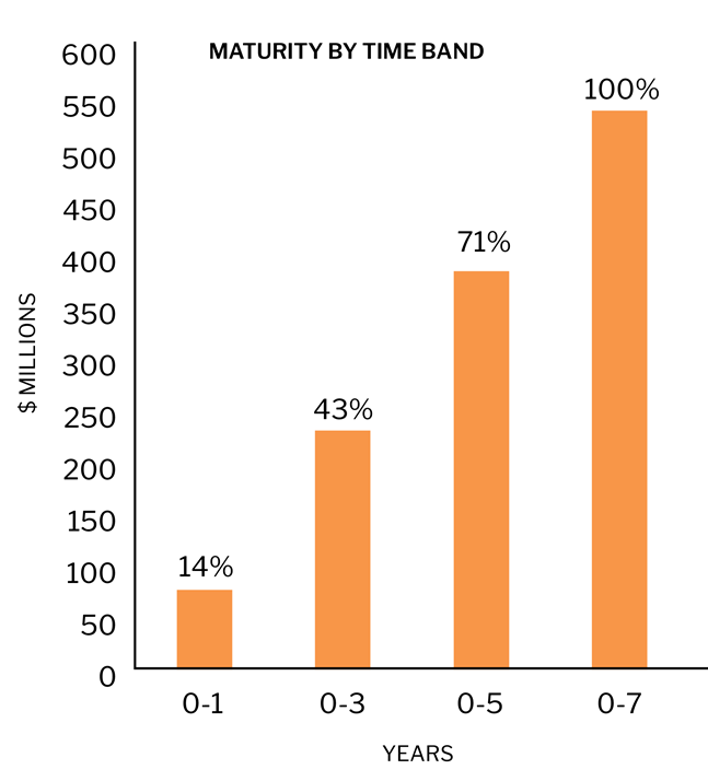 Maturity by time band chart